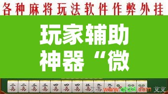 玩家辅助神器“微乐海南麻将开挂神器”附辅助神器开挂脚本详细步骤