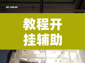 教程开挂辅助“杭州都莱大菠萝买了挂有用吗	”其实确实有挂