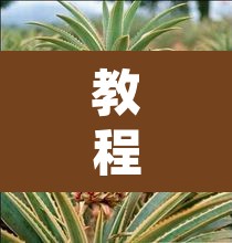 教程开挂辅助“杭州都莱大菠萝买了挂有用吗	”其实确实有挂