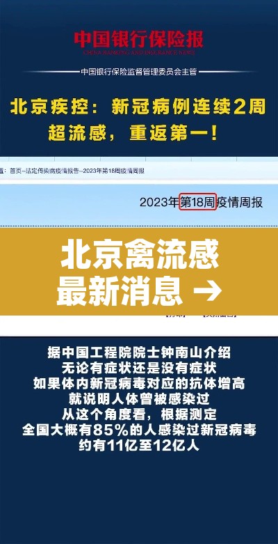 北京禽流感最新消息 → 北京禽流感最新消息今天