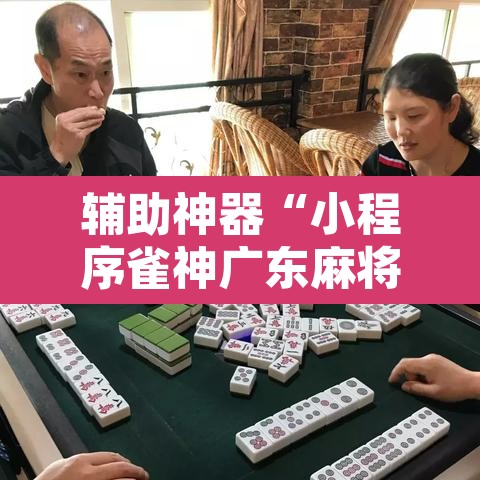 辅助神器“小程序雀神广东麻将挂”开挂辅助脚本+详细开挂安装教程