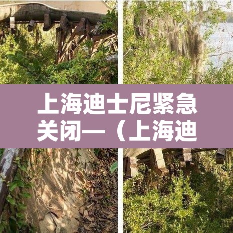 上海迪士尼紧急关闭—（上海迪士尼7月15日起再度关闭）