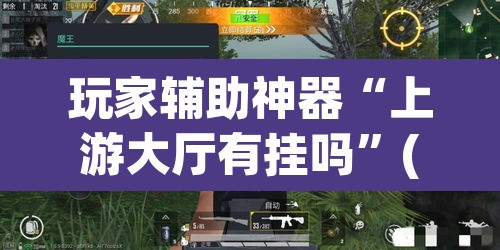 玩家辅助神器“上游大厅有挂吗”(透视)其实确实有挂