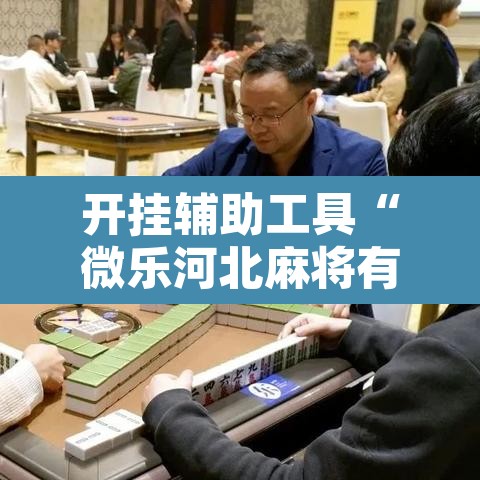开挂辅助工具“微乐河北麻将有挂吗”其实确实有挂