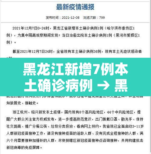 黑龙江新增7例本土确诊病例 → 黑龙江新增本土确诊8例行动轨迹