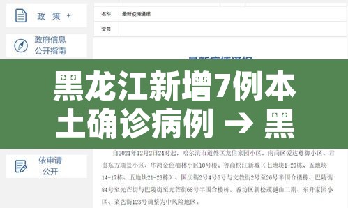 黑龙江新增7例本土确诊病例 → 黑龙江新增本土确诊8例行动轨迹