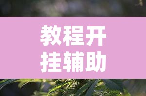 教程开挂辅助“友乐广西麻将究竟有挂吗	”附辅助神器开挂脚本详细步骤