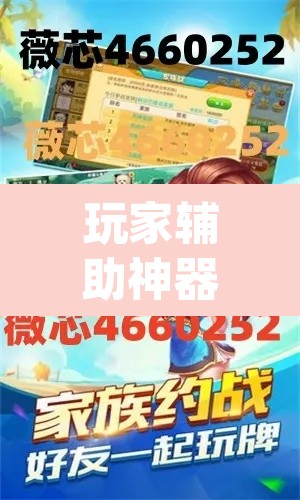 玩家辅助神器“琼州雀友有挂吗”(透视挂)辅助透视教程