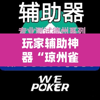 玩家辅助神器“琼州雀友有挂吗”(透视挂)辅助透视教程