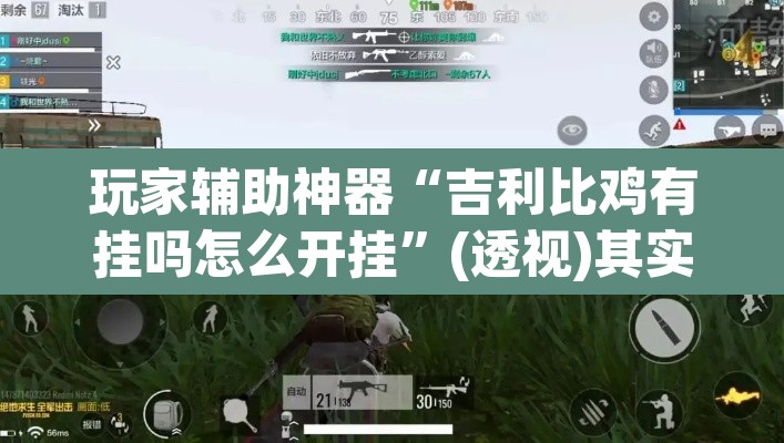 玩家辅助神器“吉利比鸡有挂吗怎么开挂”(透视)其实确实有挂