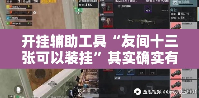 开挂辅助工具“友间十三张可以装挂	”其实确实有挂
