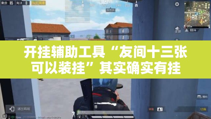 开挂辅助工具“友间十三张可以装挂”其实确实有挂