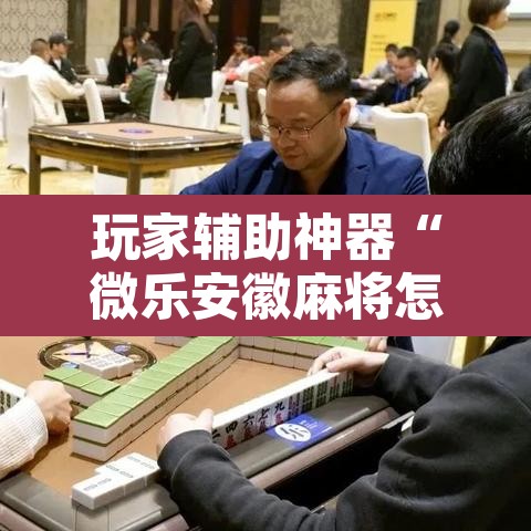玩家辅助神器“微乐安徽麻将怎样免费开挂”开挂辅助脚本+详细开挂安装教程
