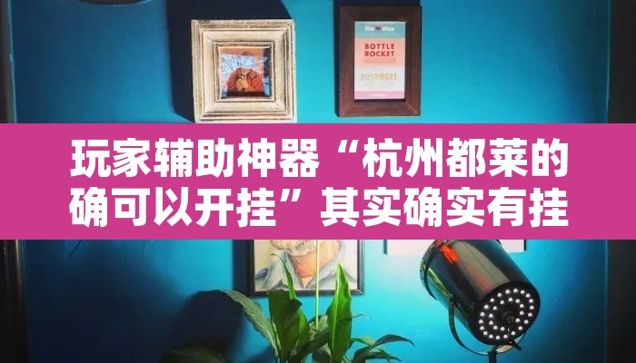 玩家辅助神器“杭州都莱的确可以开挂	”其实确实有挂