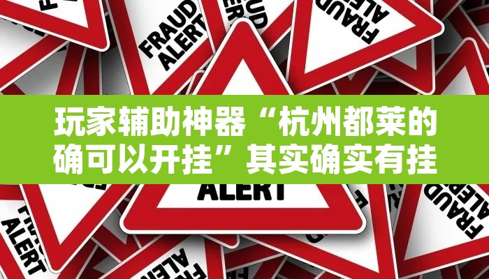 玩家辅助神器“杭州都莱的确可以开挂”其实确实有挂