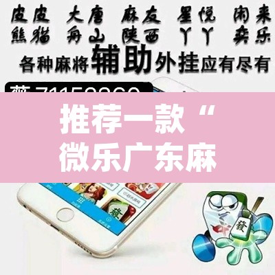 推荐一款“微乐广东麻将怎么提高胜率”(透视挂)辅助透视教程