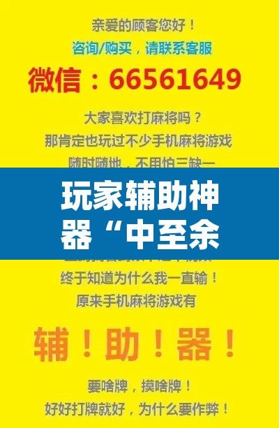 玩家辅助神器“中至余干小程序辅助器”(透视挂)辅助透视教程