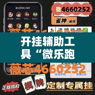 开挂辅助工具“微乐跑得快开挂教程	”开挂辅助脚本+详细开挂安装教程