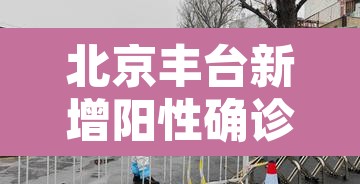 北京丰台新增阳性确诊›北京丰台新增2例行动轨迹