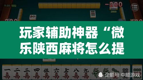 玩家辅助神器“微乐陕西麻将怎么提高胜率”(透视)其实确实有挂