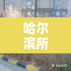 哈尔滨所有小区封闭管理：哈尔滨小区封闭小区名单最新