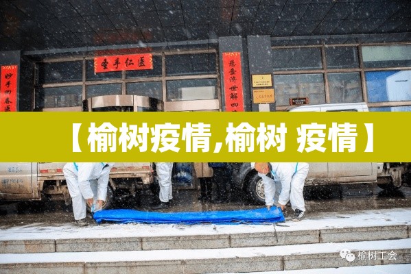 【榆树疫情,榆树 疫情】
