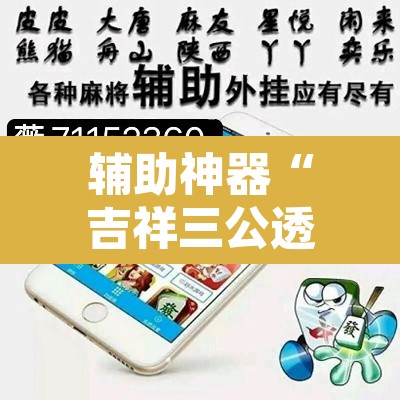 辅助神器“吉祥三公透视是真的吗”其实确实有挂