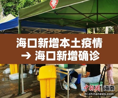 海口新增本土疫情 → 海口新增确诊病例
