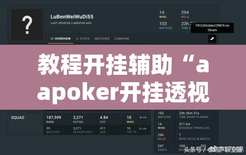 教程开挂辅助“aapoker开挂透视方法	”其实确实有挂