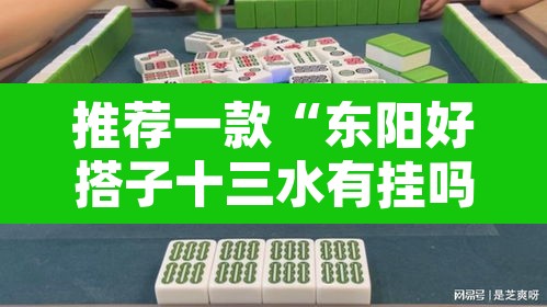 推荐一款“东阳好搭子十三水有挂吗”其实确实有挂