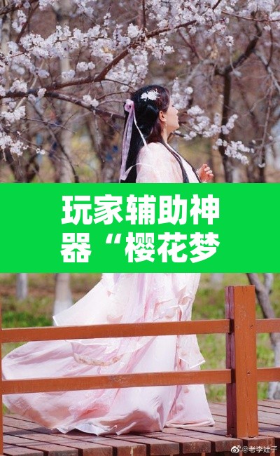 玩家辅助神器“樱花梦雨真的可以开挂吗”其实确实有挂