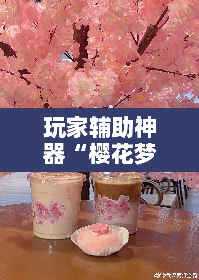 玩家辅助神器“樱花梦雨真的可以开挂吗”其实确实有挂