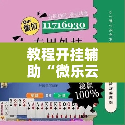 教程开挂辅助“微乐云南麻将开挂教程	”其实确实有挂