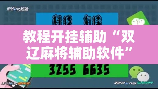 教程开挂辅助“双辽麻将辅助软件”其实确实有挂