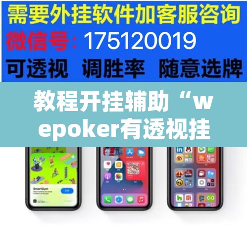 教程开挂辅助“wepoker有透视挂”其实确实有挂