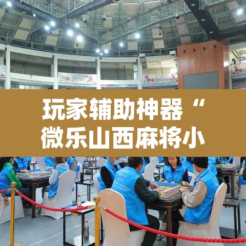 玩家辅助神器“微乐山西麻将小程序挂”(透视)其实确实有挂