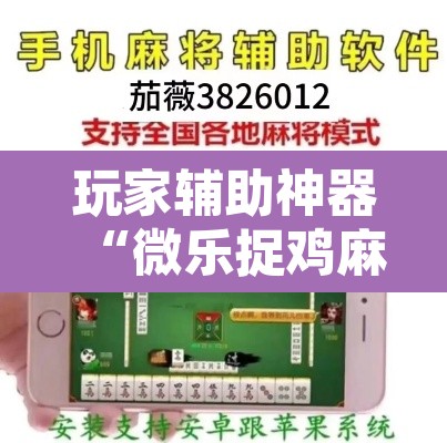 玩家辅助神器“微乐捉鸡麻将开挂教程步骤图”其实确实有挂