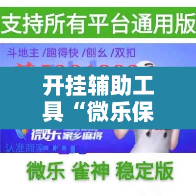 开挂辅助工具“微乐保皇挂”开挂辅助脚本+详细开挂安装教程
