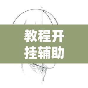 教程开挂辅助“新九方大厅有透视挂吗”(透视)其实确实有挂