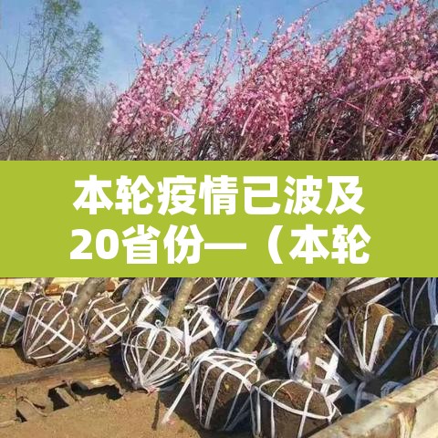 本轮疫情已波及20省份—(本轮疫情波及12省) 本轮疫情已波及20省份—(本轮疫情波及12省)