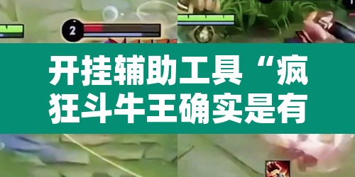 开挂辅助工具“疯狂斗牛王确实是有挂吗”其实确实有挂