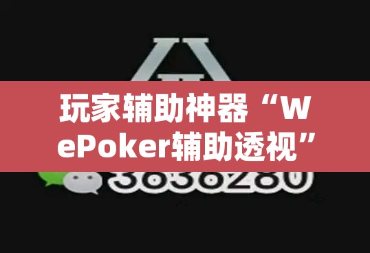 玩家辅助神器“WePoker辅助透视”(透视挂)辅助透视教程
