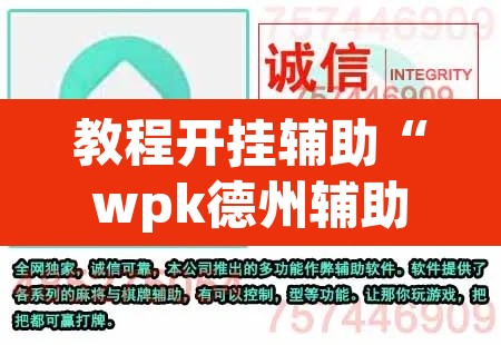 教程开挂辅助“wpk德州辅助”(透视)其实确实有挂