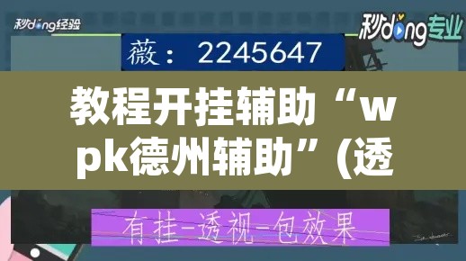 教程开挂辅助“wpk德州辅助”(透视)其实确实有挂