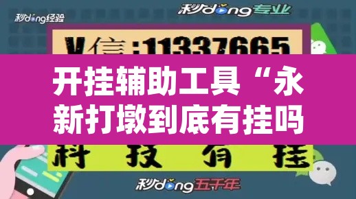 开挂辅助工具“永新打墩到底有挂吗”(透视挂)辅助透视教程