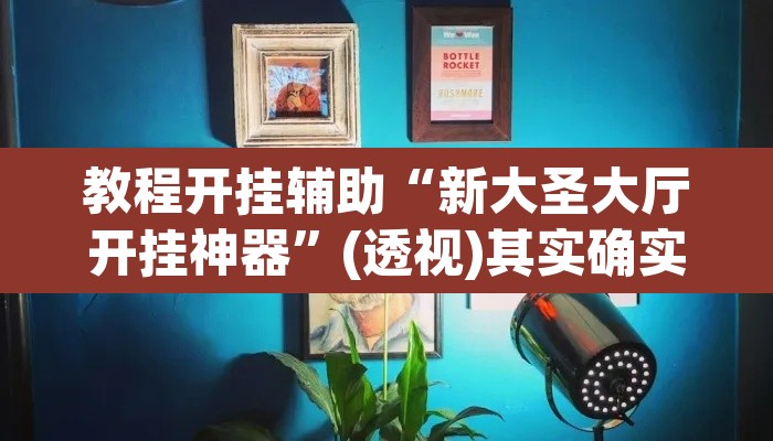教程开挂辅助“新大圣大厅开挂神器”(透视)其实确实有挂