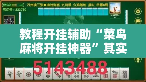 教程开挂辅助“菜鸟麻将开挂神器”其实确实有挂