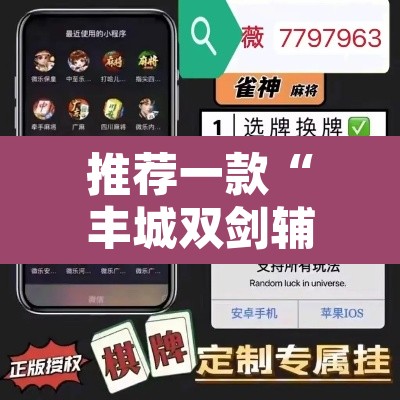 推荐一款“丰城双剑辅助器”附辅助神器开挂脚本详细步骤