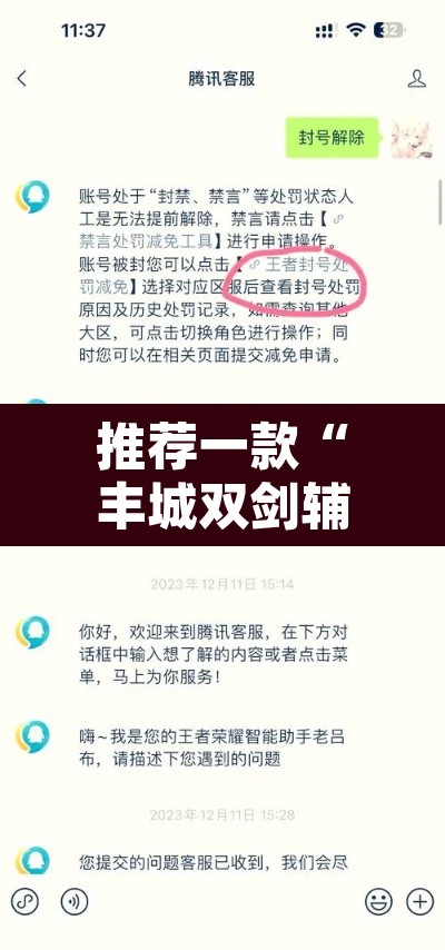 推荐一款“丰城双剑辅助器”附辅助神器开挂脚本详细步骤