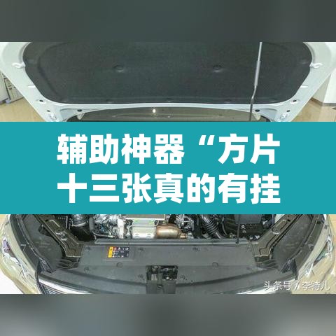 辅助神器“方片十三张真的有挂吗”(透视)其实确实有挂